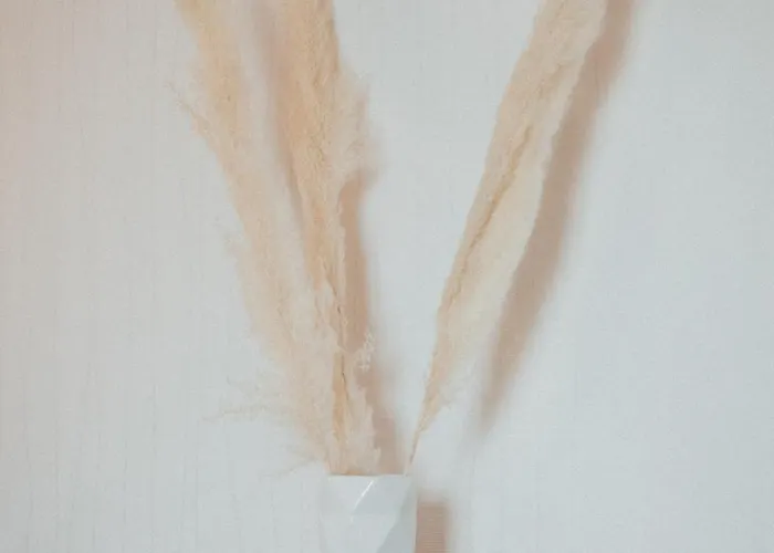 Entre Et Nature - Les Hauts De Avec Garage Gratuit Апартаменты Клермон-Ферран